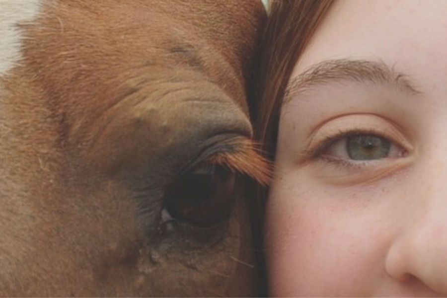welches tier hat die größten Augen der welt